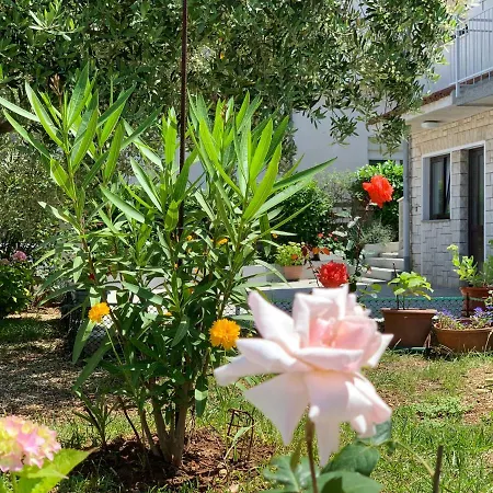 Bilic בית הארחה פולה