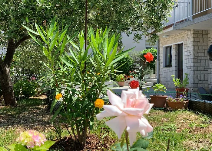 Bilic Guest house Pula